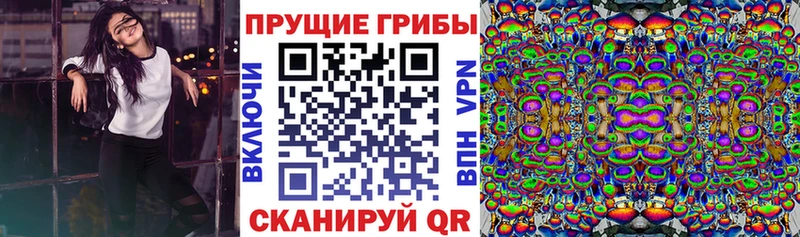 Купить Асино Галлюциногенные грибы Psilocybe